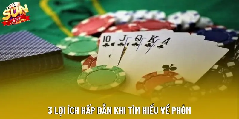 3 lợi ích hấp dẫn khi tìm hiểu về phỏm 3 lợi ích hấp dẫn khi tìm hiểu về phỏm